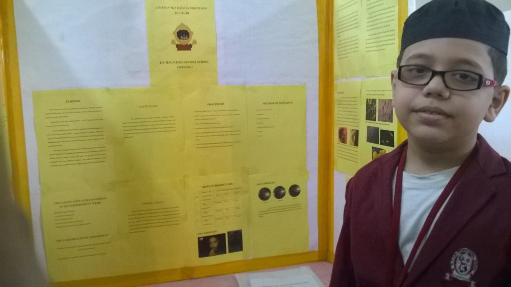 sciencefair (4)